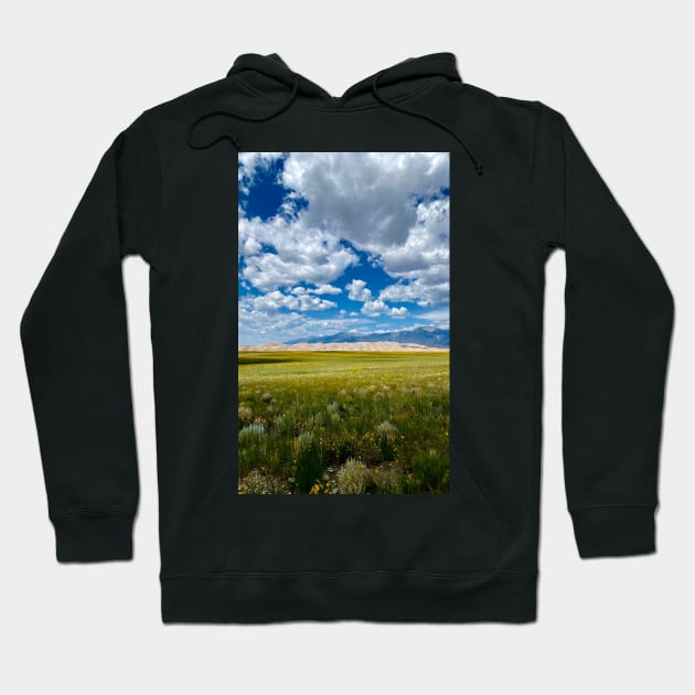 Sand Dunes Colorado Hoodie by Hellbender Creations